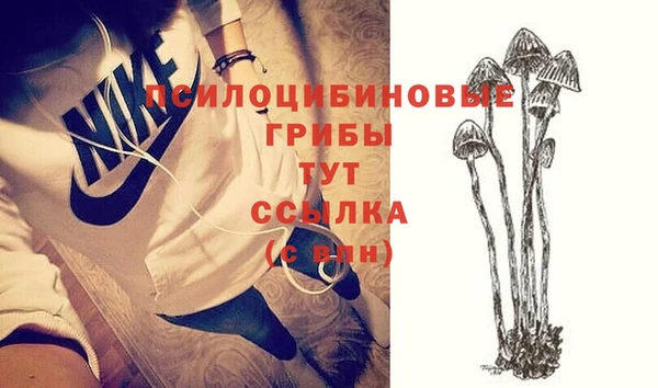 а пвп мука Алзамай