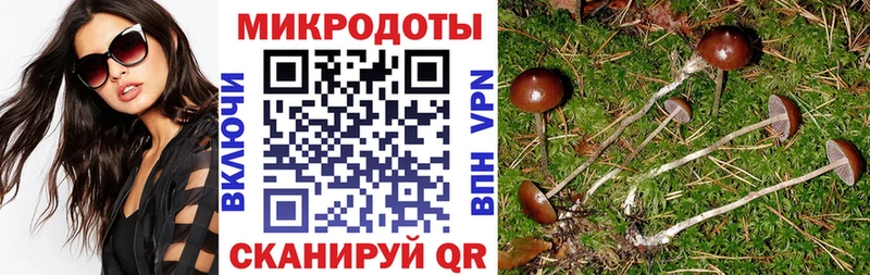 Псилоцибиновые грибы ЛСД Лысьва